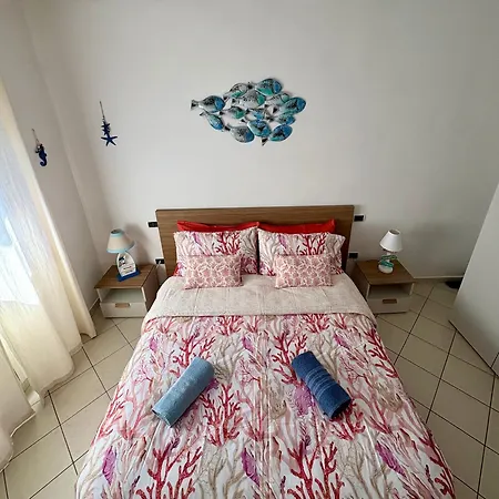 Consumella24 * 포르토페라이오